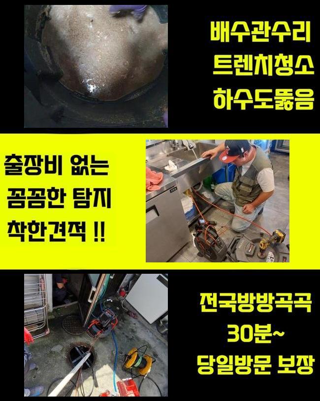 재재수선 이미지