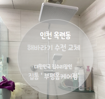 해바라기홈케어 이미지