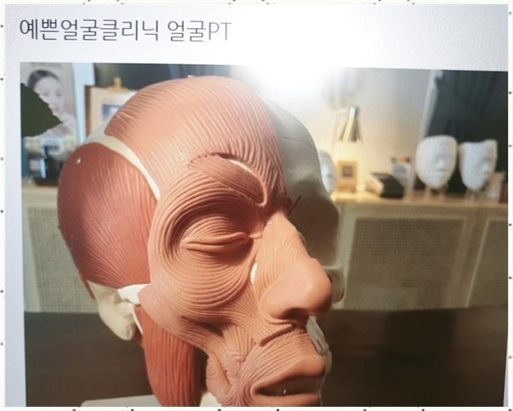 가연에스테틱 이미지