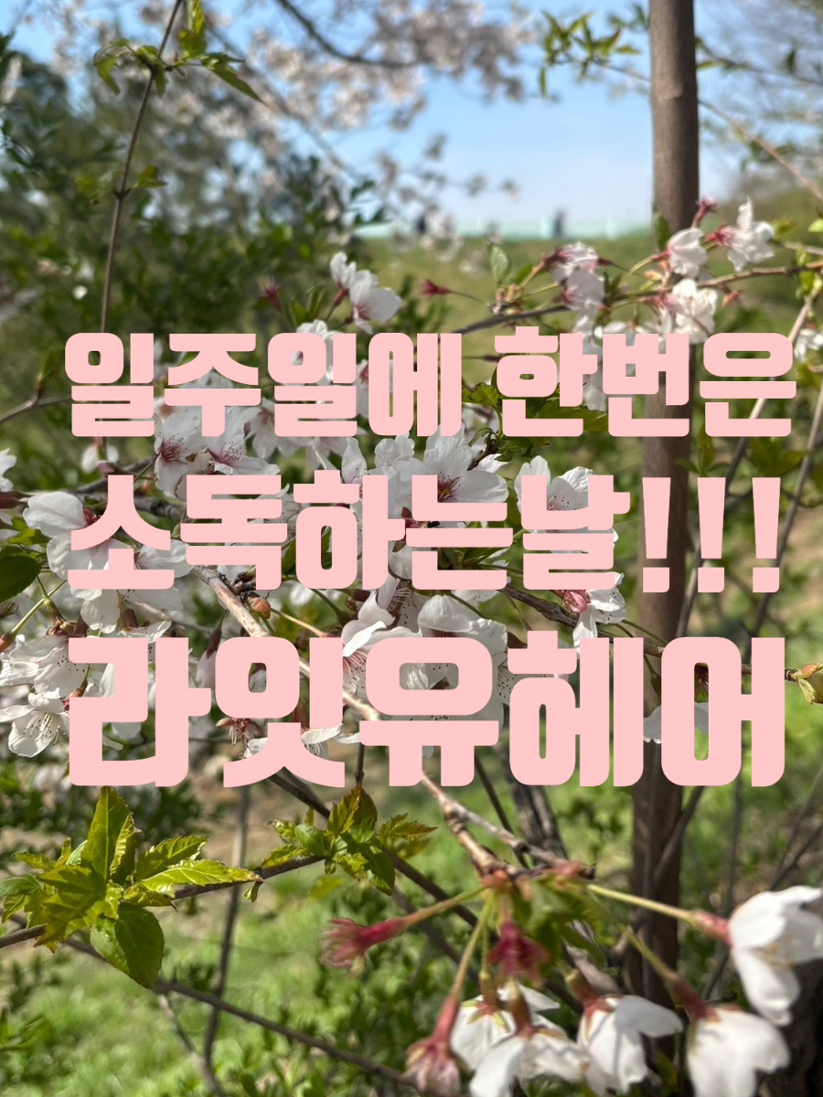 라잇유헤어 이미지