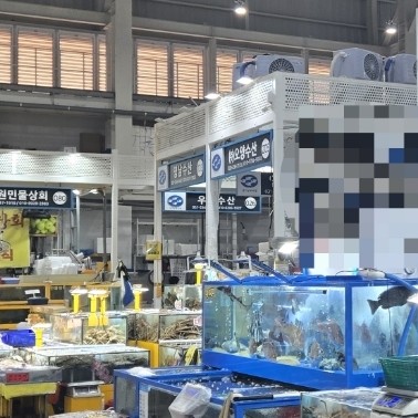 오양농수산물 이미지