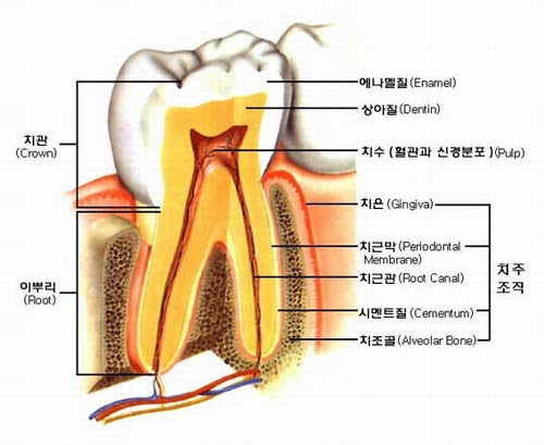 잠실원치과의원 이미지