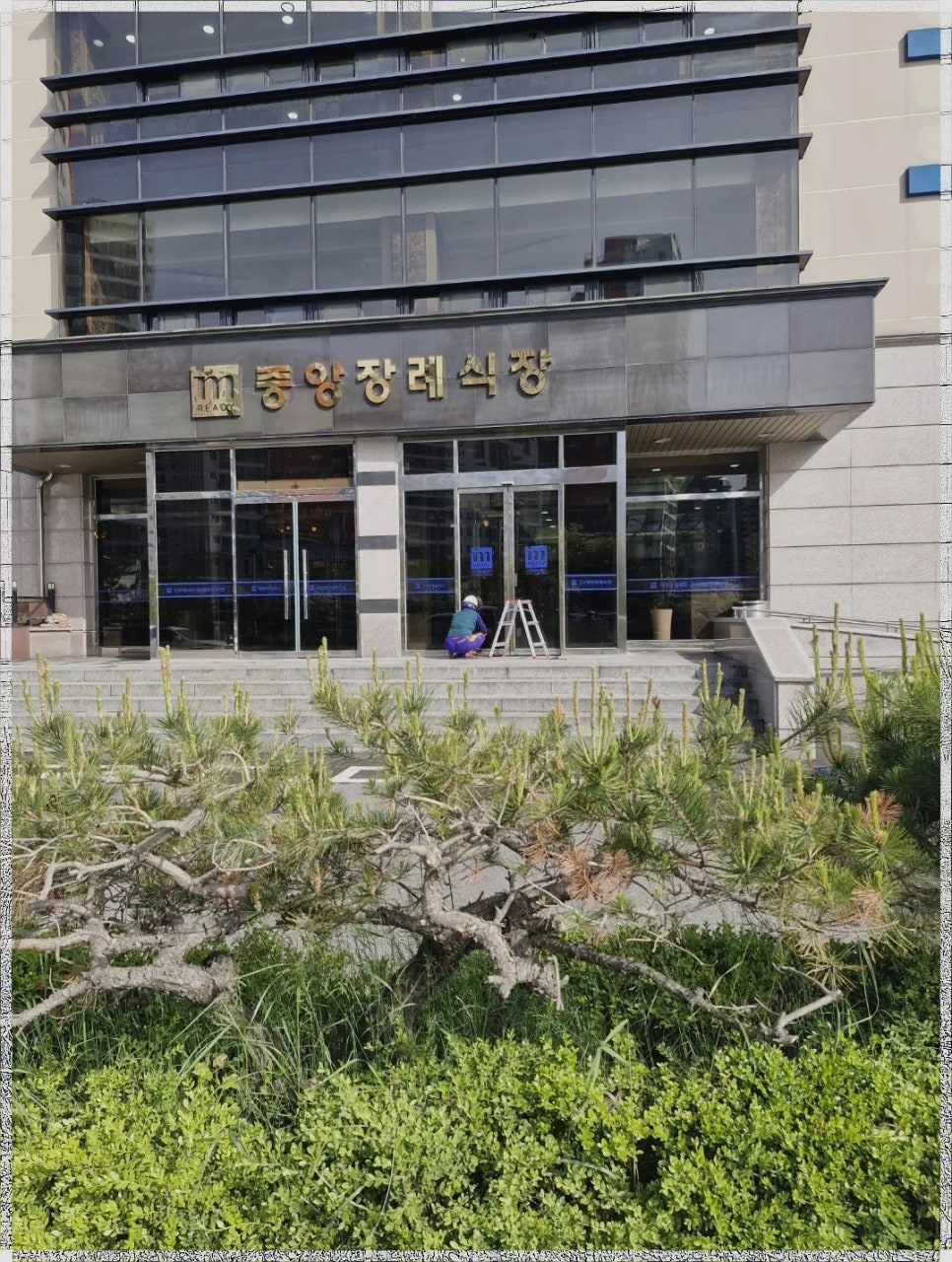 올케어 종합환경 이미지