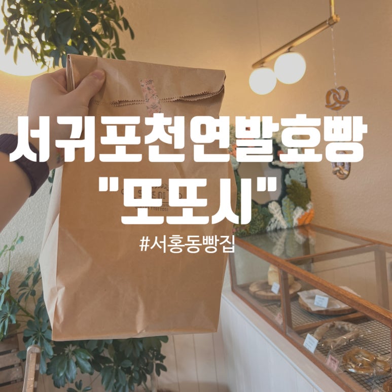 또또시 이미지