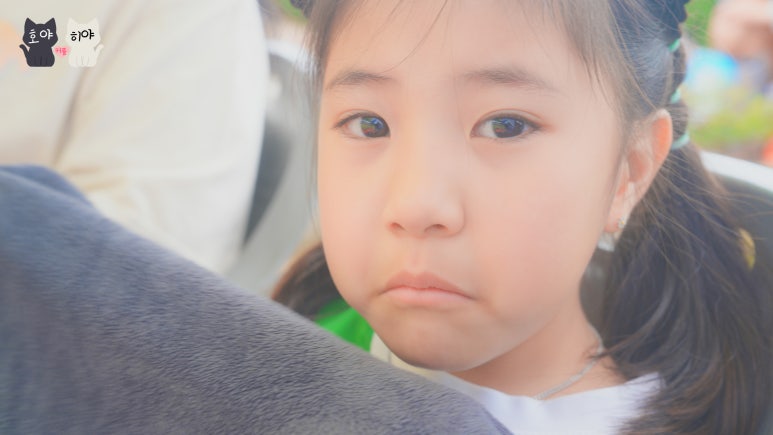공현진초등학교 이미지