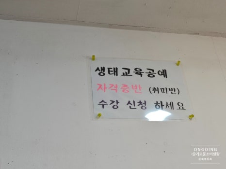 숲속나무교실 이미지