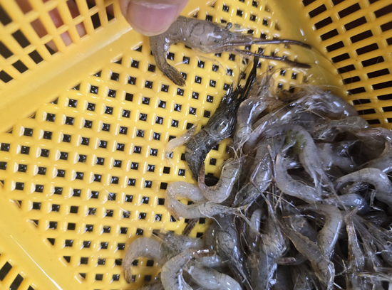 민물자연수산 이미지