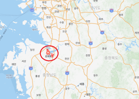 프로코아 이미지