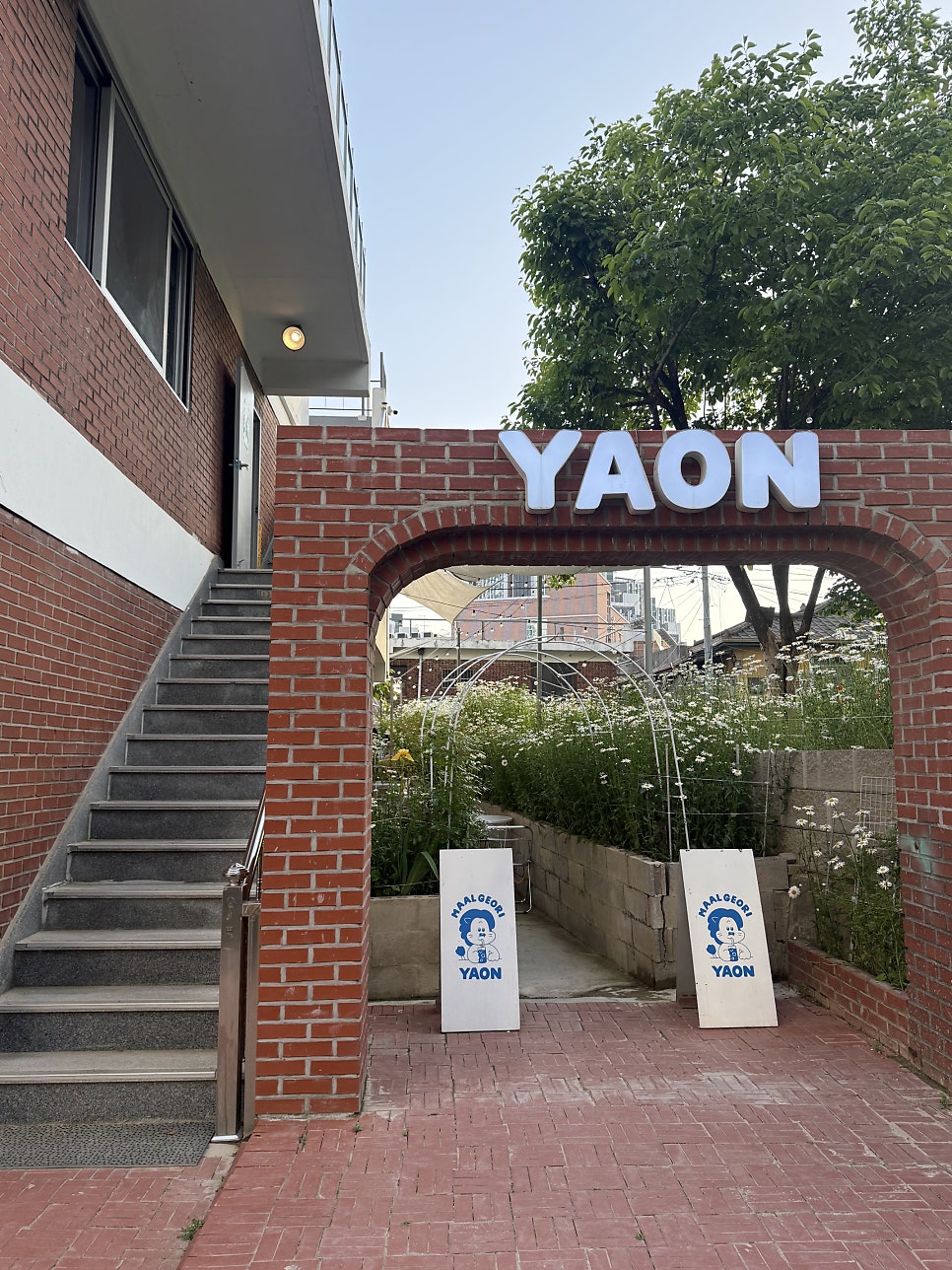 야온 이미지