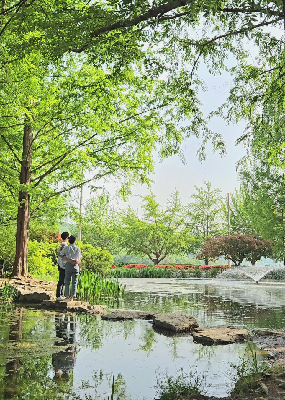 숲속 이미지