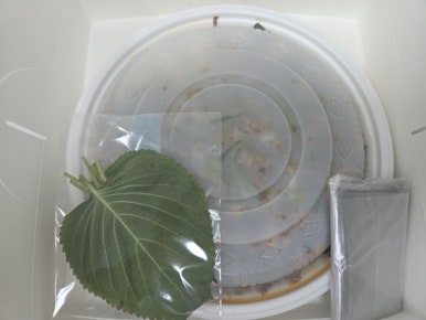 강릉엄지네꼬막집 마포점 이미지