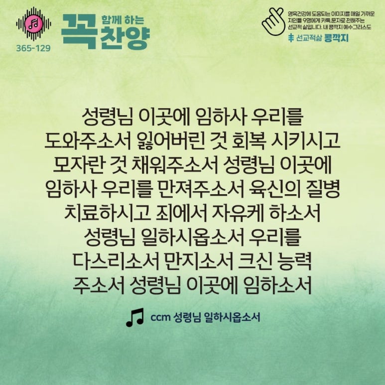 콩깍지 이미지