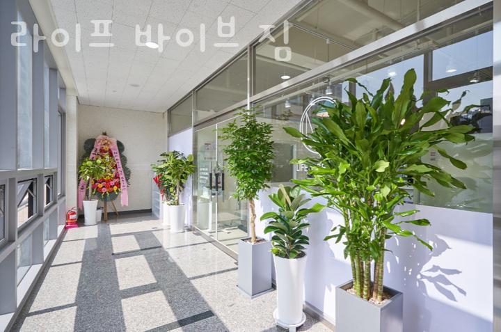 바이브짐 이미지
