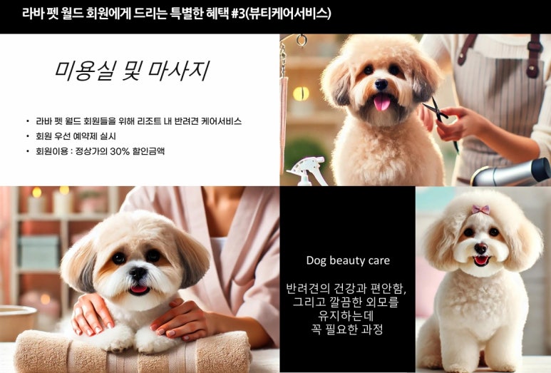 라바호텔 이미지