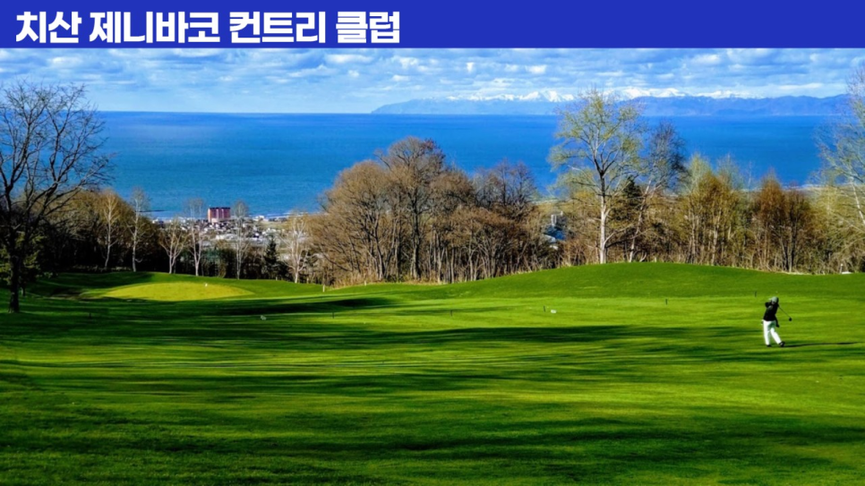 제니바 이미지