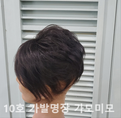가모미모 이미지