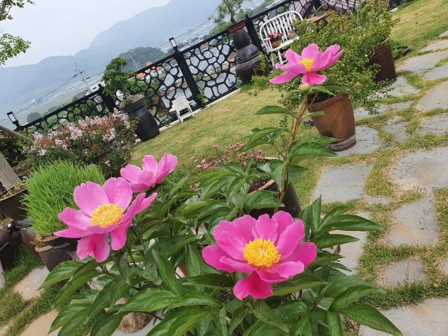 쪼물딱 꼼지락 이미지