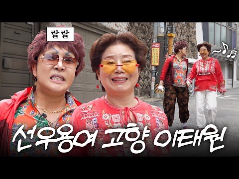 제이미 이미지