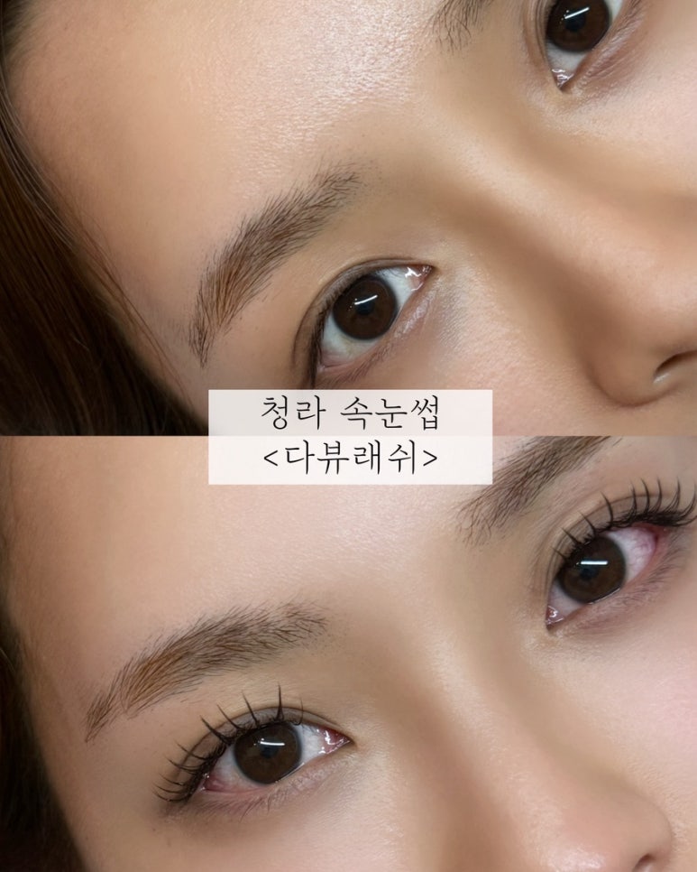 다뷰래쉬 이미지