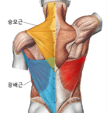 언더로우 이미지