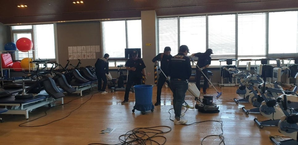 코끼리인력 이미지