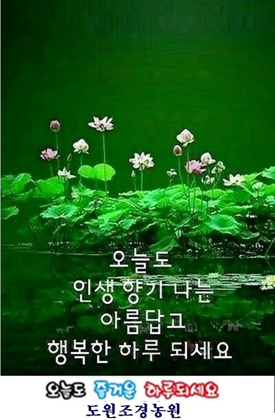 이*복 이미지