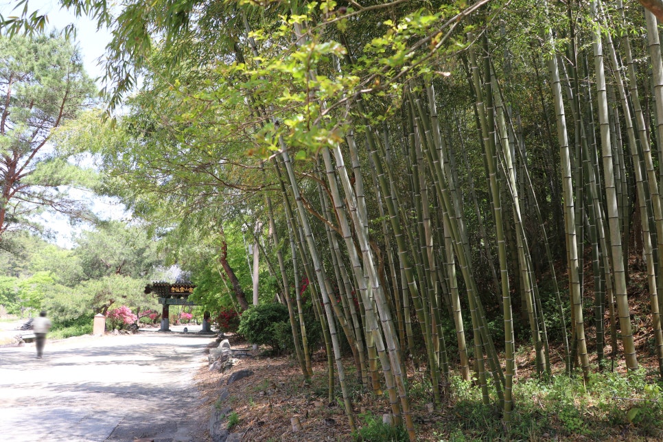 Unju Temple