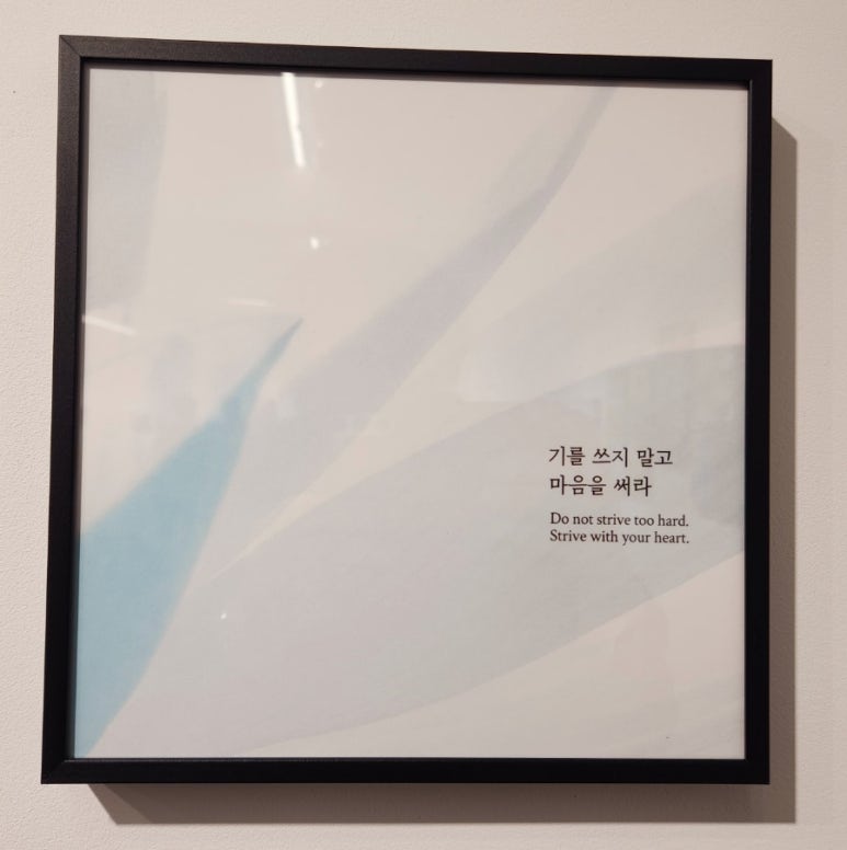 라갤러리 이미지