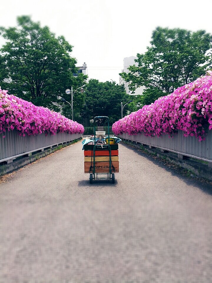 물감나무공방 이미지