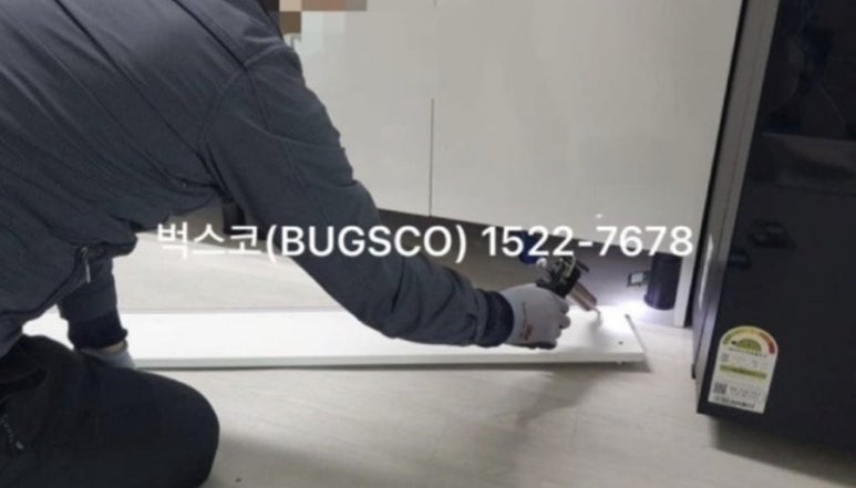 벅스코 이미지