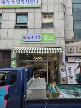 호연나무 이미지