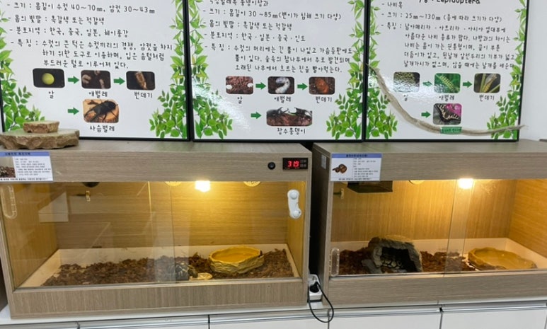 성북시니어클럽 이미지