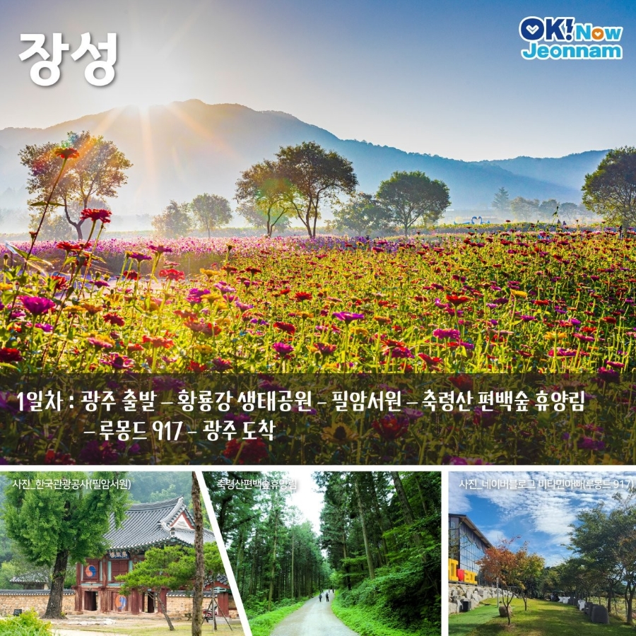주식회사 그린여행사 이미지