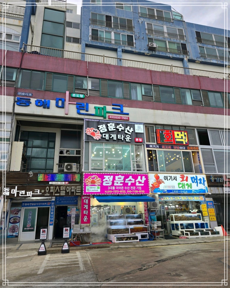 동해수산회센타 이미지