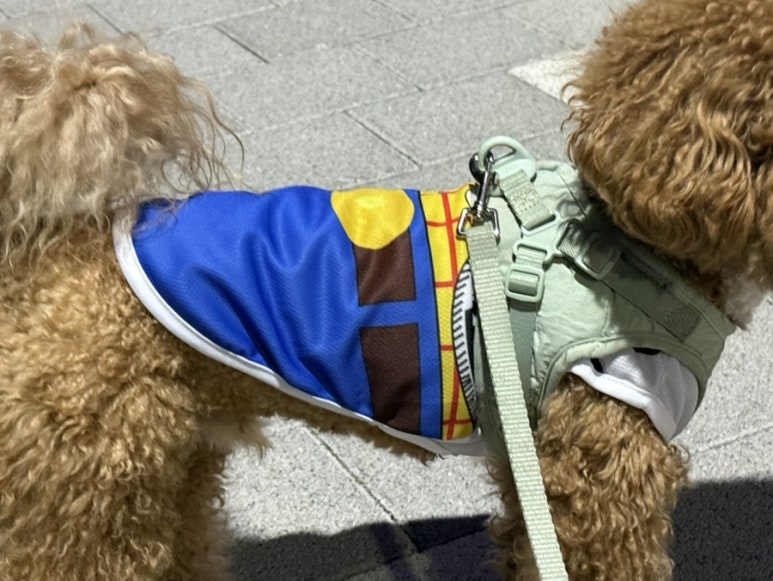 오복의류 이미지