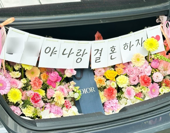 플로피아 이미지