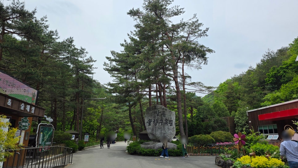 강릉솔향도시락 이미지