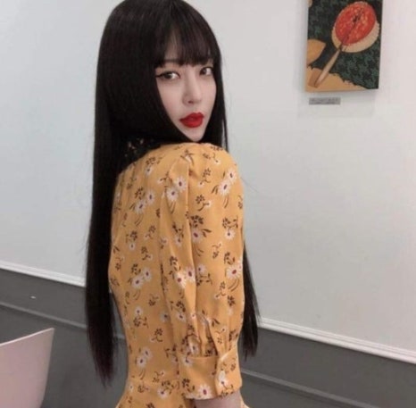 자이헤어 이미지