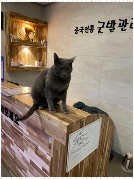 중국전통발관리 이미지