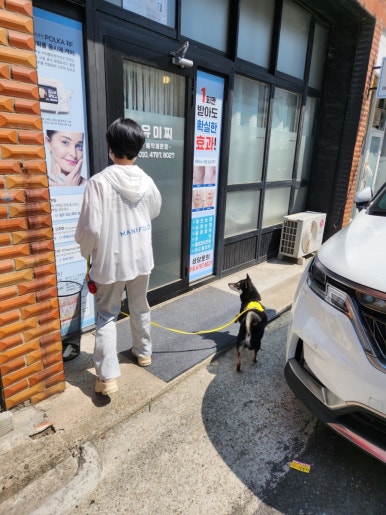 유미찌 이미지