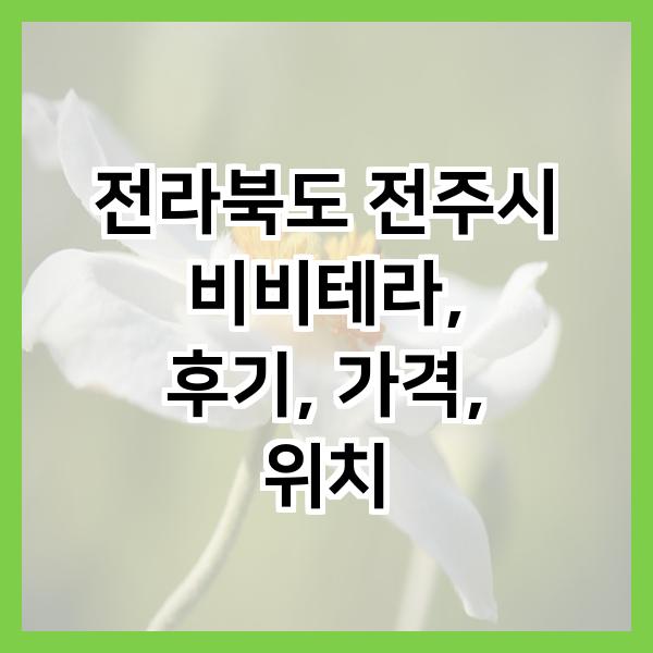 비비테라 이미지