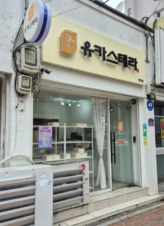 유카스테라 이미지