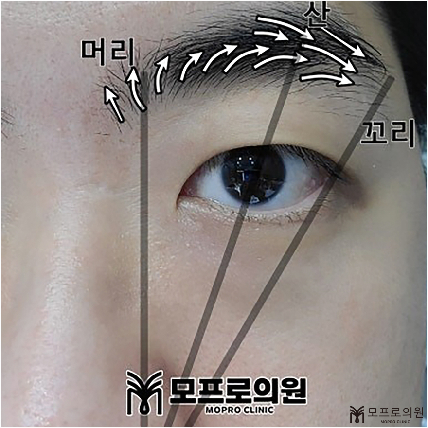 눈썹이날개다 이미지