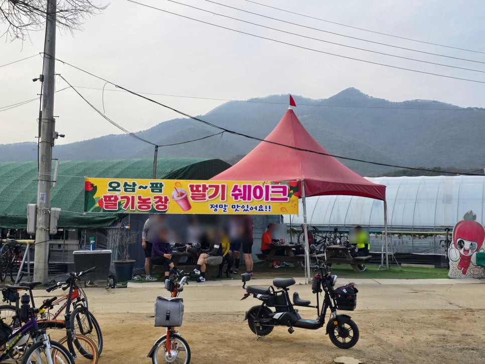 오삼~팜 이미지