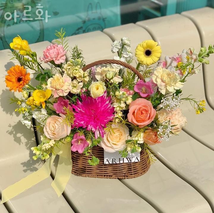 아르화 이미지