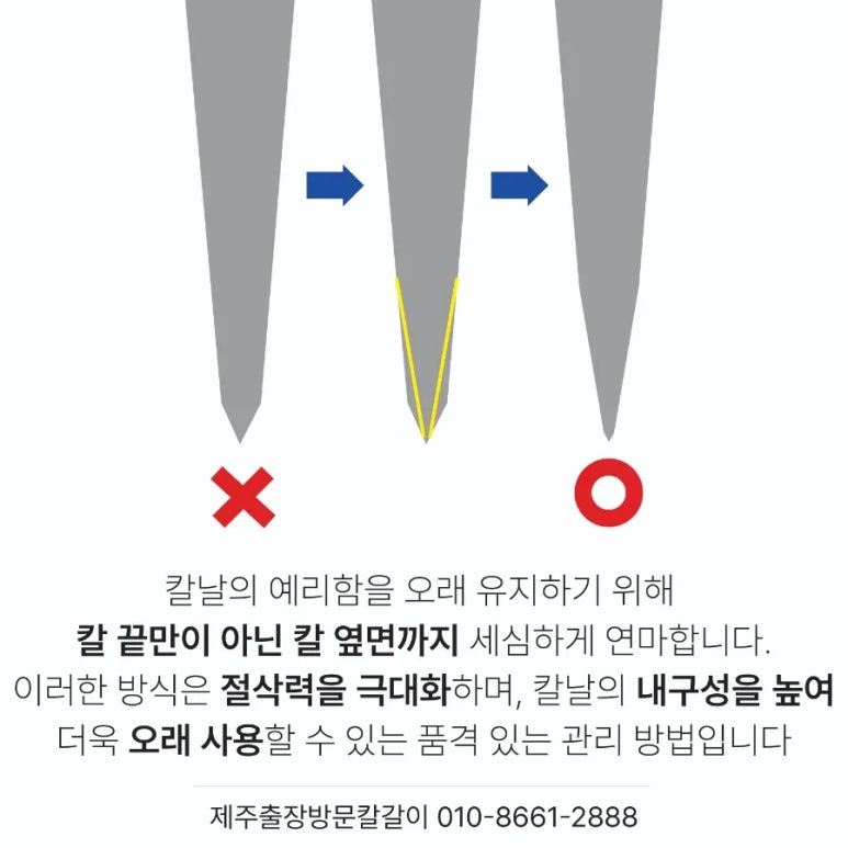 탐돈 이미지