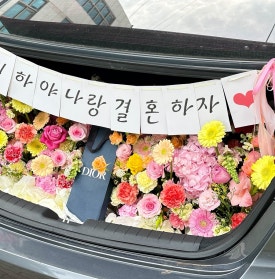 플로피아 이미지