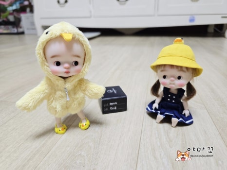 쭈야# 이미지