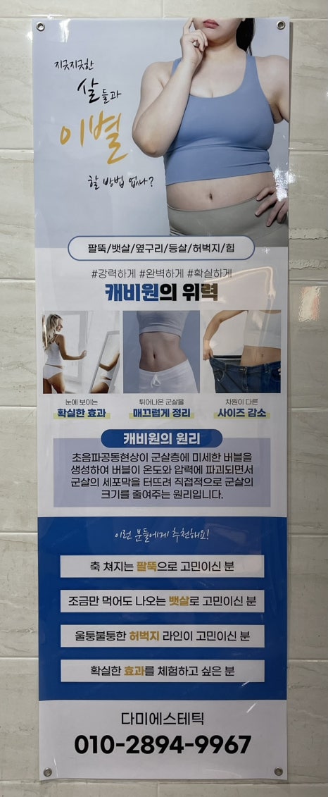 다미에스테틱 이미지