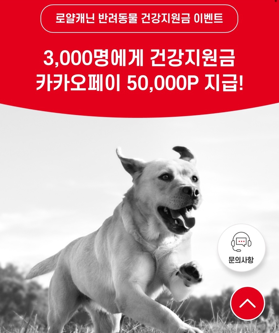 (주)로얄광고 이미지